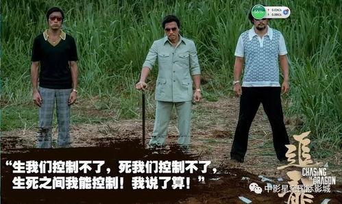 追龙免费观看西瓜,揭秘黑帮传奇，热血沸腾的江湖风云！