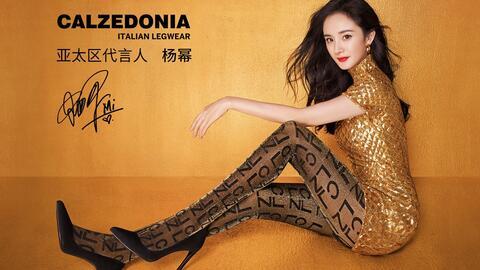 丝袜片ed2k,探寻网络神秘世界的秘密入口