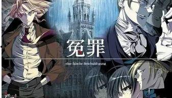 冤罪动画ova无码,动画OVA深度解析