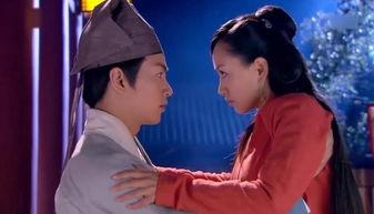 国产明星性磁力,揭秘性磁力背后的故事