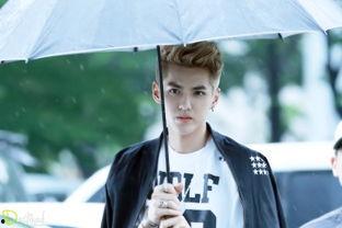 上海明星出没,明星出没的时尚都市风采