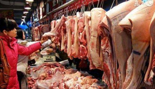 猪肉爆料视频播放大全,揭秘行业真相与食品安全