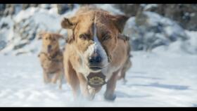 电影好人难寻在线播放,探寻人性光辉的在线观影之旅