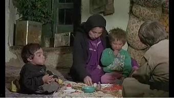 电影醉马时刻在线播放,一场跨越时空的奇幻之旅