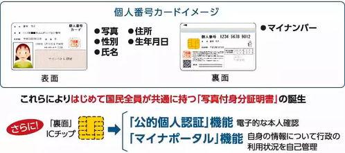 日本tk片番号,探寻神秘影视作品的背后故事